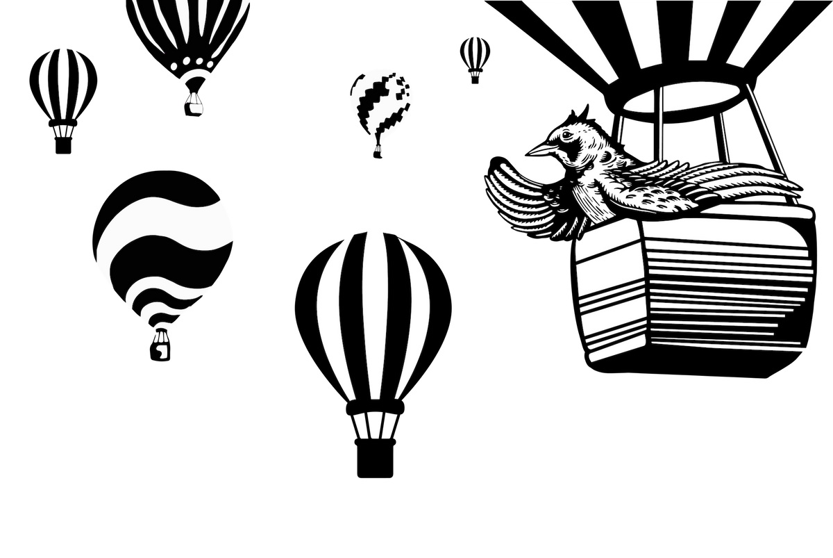 The Ones That Flew Away