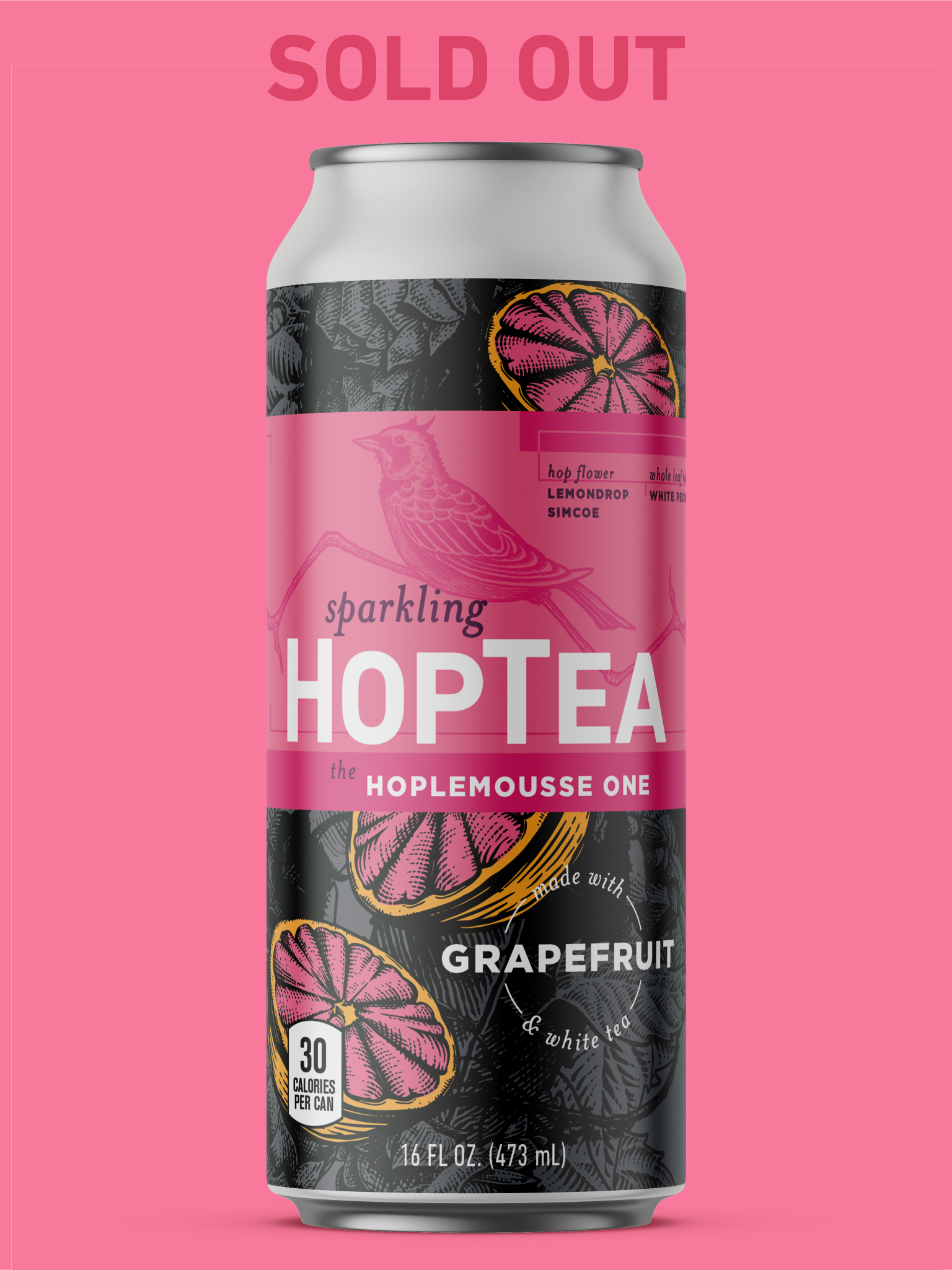 The Hoplemousse One - 12 Pack