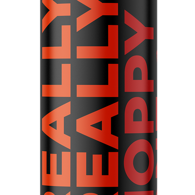 Load image into Gallery viewer, The Really Really Hoppy One - September - Limited Release - 12 pack
