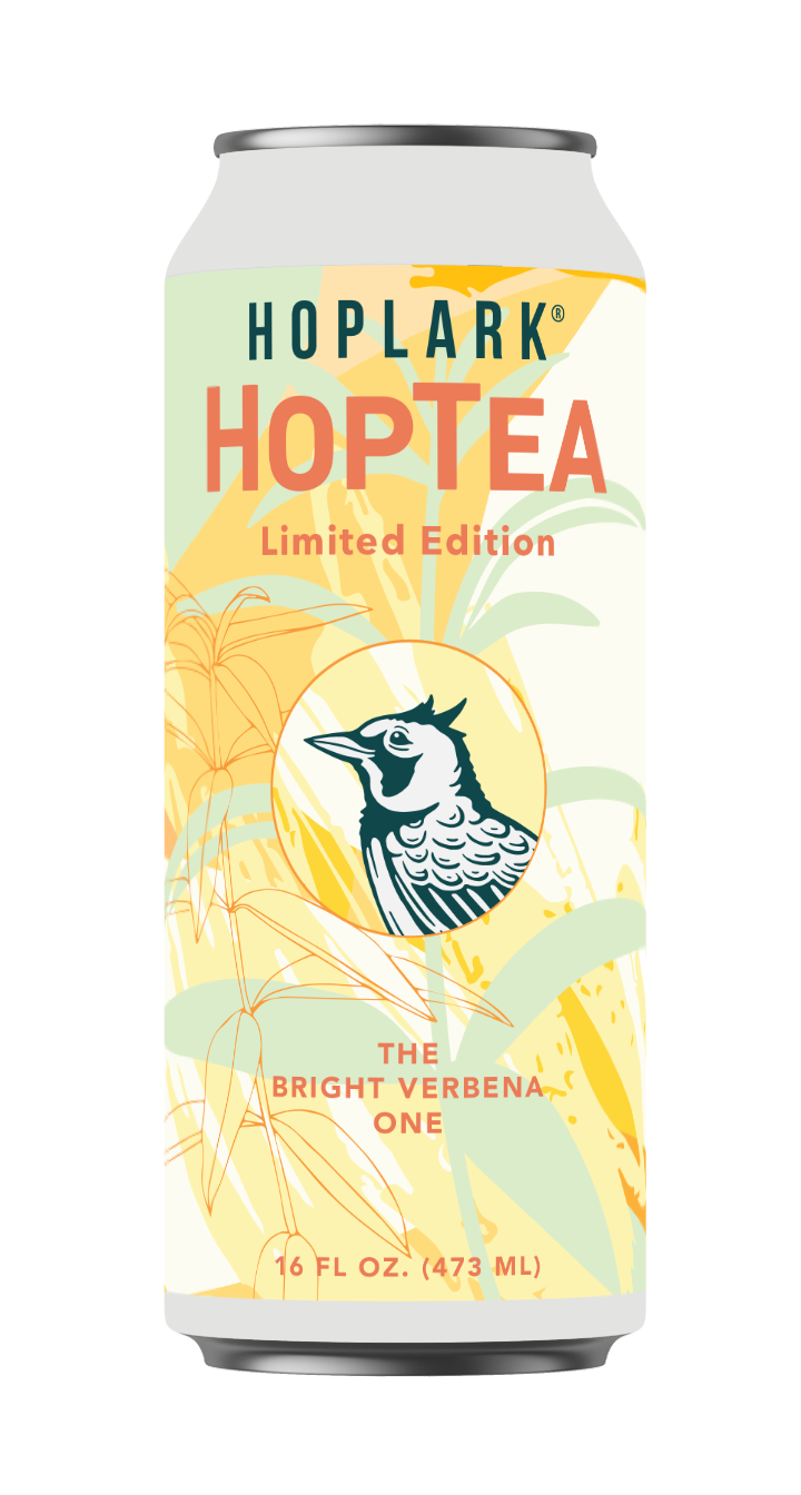 The Bright Verbena One - 12 Pack