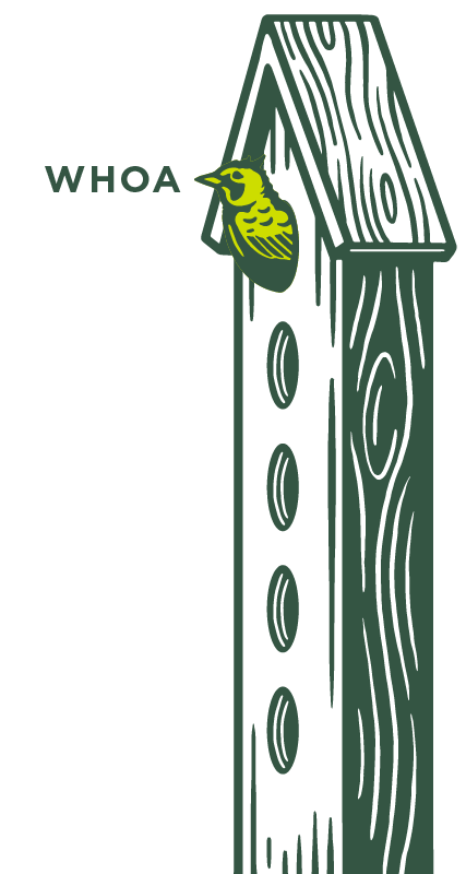 hoppiness level - whoa